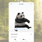 Google Search a giant panda